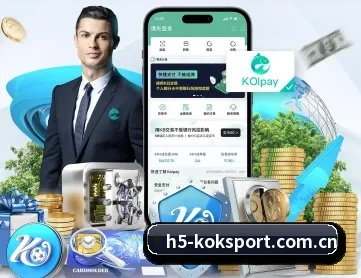 kok体育 APP 深度功能